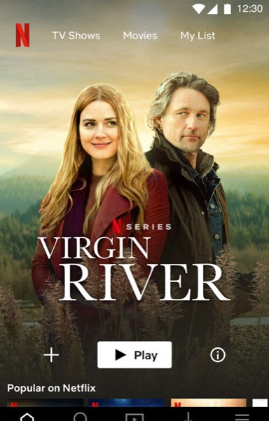 Virgin River streaming art